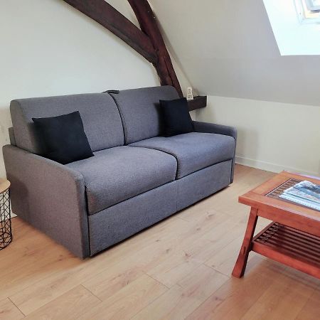 Appartement Au Centre Ville De Sens Eksteriør billede